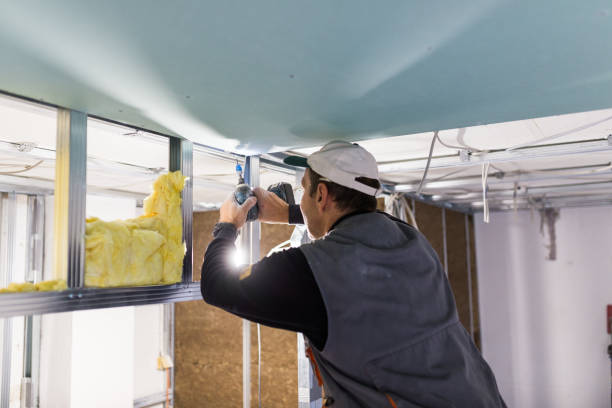 Best Commercial Insulation Services  in Eyota, MN